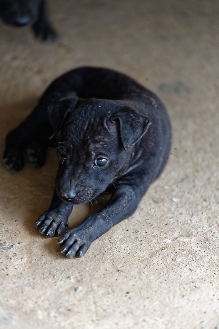 Famille et amis-MAI17-057